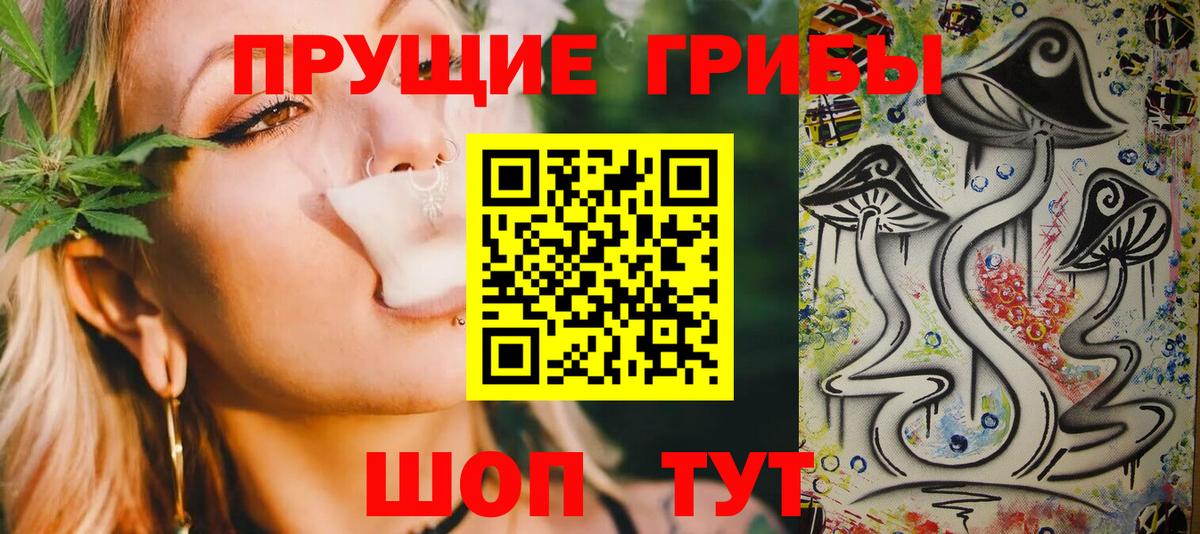 Псилоцибиновые грибы GOLDEN TEACHER Клинцы