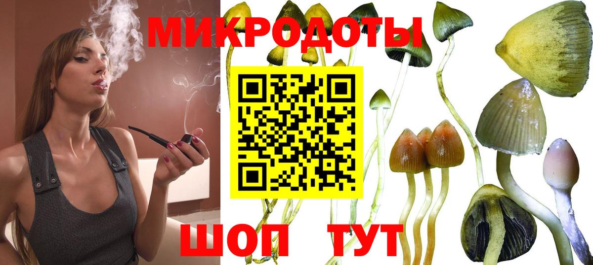 Псилоцибиновые грибы мухоморы  Вход с VPN  Галлюциногенные грибы мухоморы  Клинцы 