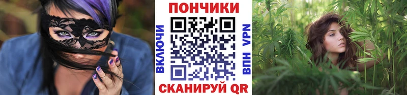Шишки марихуана сатива  Клинцы 